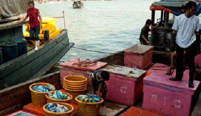 Thai boat workers