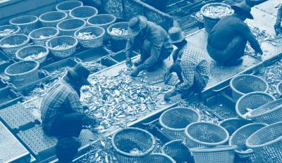 Fishing workers, Thailand