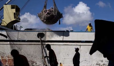 Migrant fishers 